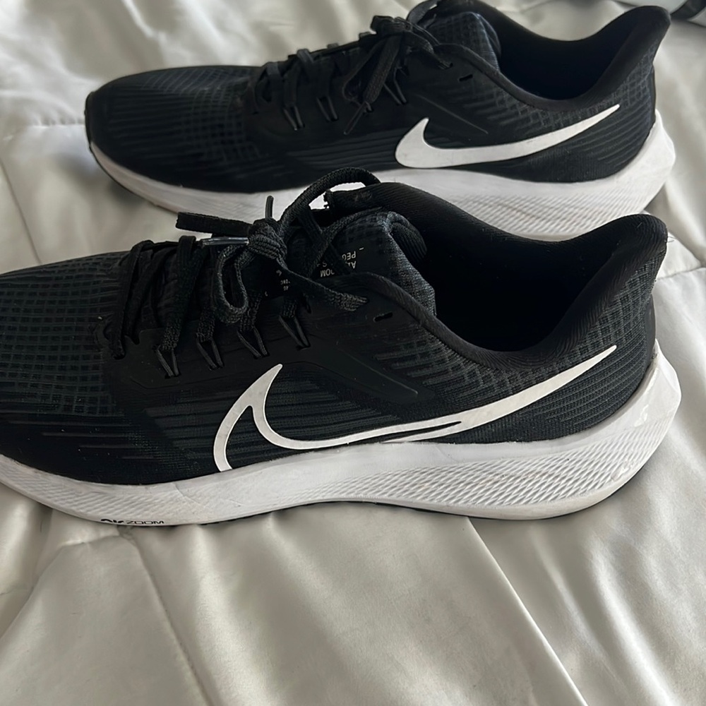Nike zoom pegasus 39